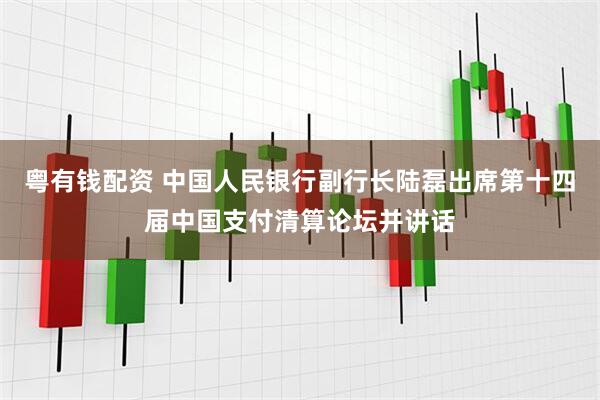 粤有钱配资 中国人民银行副行长陆磊出席第十四届中国支付清算论坛并讲话