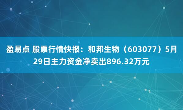 盈易点 股票行情快报：和邦生物（603077）5月29日主力资金净卖出896.32万元