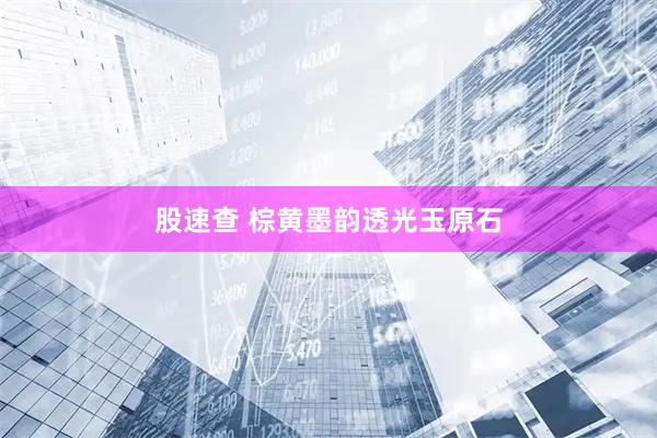 股速查 棕黄墨韵透光玉原石