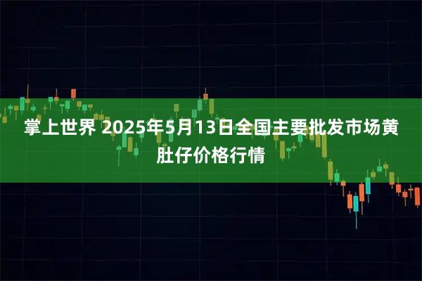 掌上世界 2025年5月13日全国主要批发市场黄肚仔价格行情